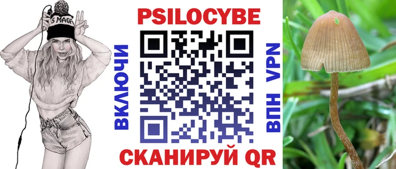 Псилоцибиновые грибы MAGIC MUSHROOMS Кушва