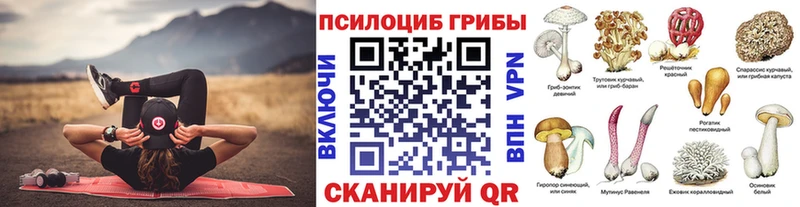 mega онион  Кушва  Псилоцибиновые грибы Psilocybine cubensis 