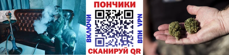 Бошки марихуана Amnesia  Кушва 